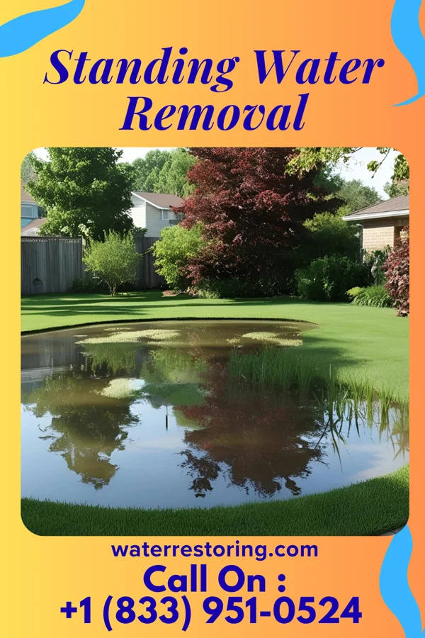 Standing Water Removal in Pumpkin Hollow, OK